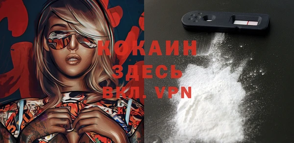 твердый Бронницы