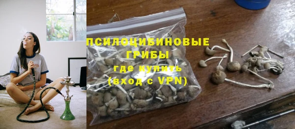 MESCALINE Бородино